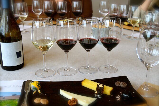 Sonoma Private Hike and Wine Tour - Final Thoughts