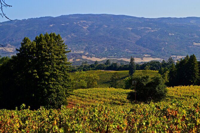 Sonoma Private Hike and Wine Tour - FAQ