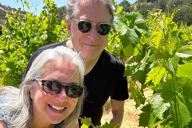 Sonoma Trike and Hike - 3 hour guided tour - Detailed Breakdown of the Itinerary