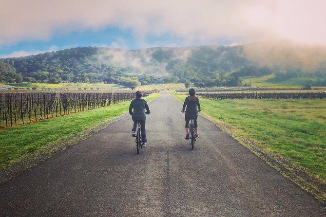 Sonoma Valley Pedal Assist Bike Tour with Lunch - The Itinerary and Wineries: What to Expect