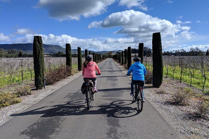 Sonoma Valley Pedal Assist Bike Tour with Lunch - Who Will Love This Tour?