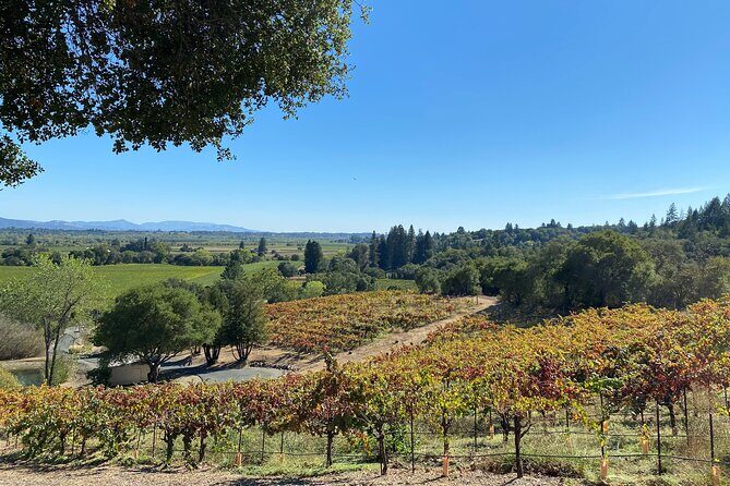 Sonoma Wine Rides: Sonoma County Join-In Group Wine Tasting Tours - Final Thoughts