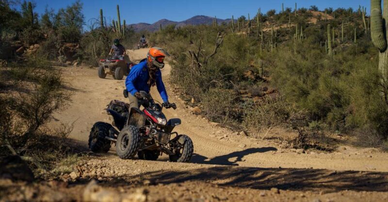Sonoran Desert: Beginner ATV Training & Desert Tour Combo - Detailed Breakdown of the Tour