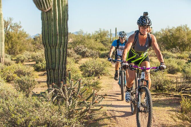 Sonoran Desert Guided Mountain Bike Tour - Experience the Sonoran Desert on Two Wheels