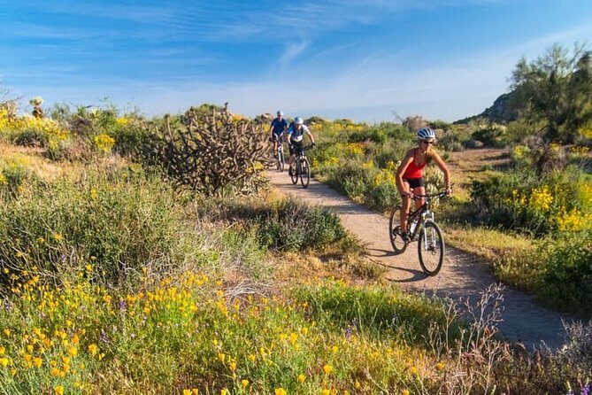 Sonoran Desert Guided Mountain Bike Tour - What to Expect on the Itinerary