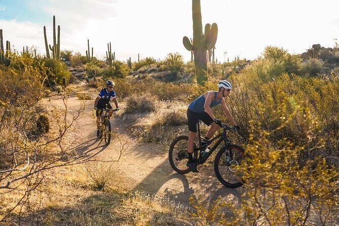 Sonoran Desert Guided Mountain Bike Tour - Who Will Love This Tour?