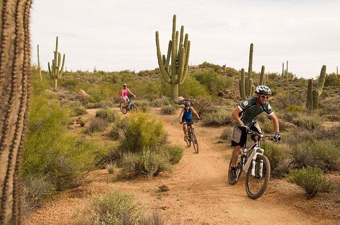 Sonoran Desert Guided Mountain Bike Tour - The Sum Up: Who Should Sign Up?