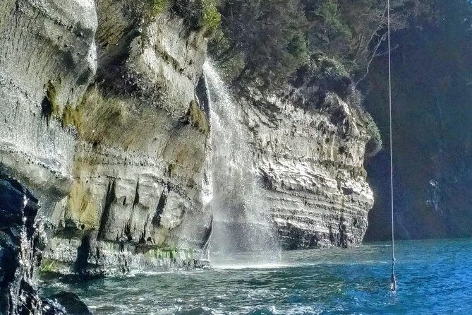 Sooke to Port Renfrew: Wild Pacific Adventure - The Value of This Experience