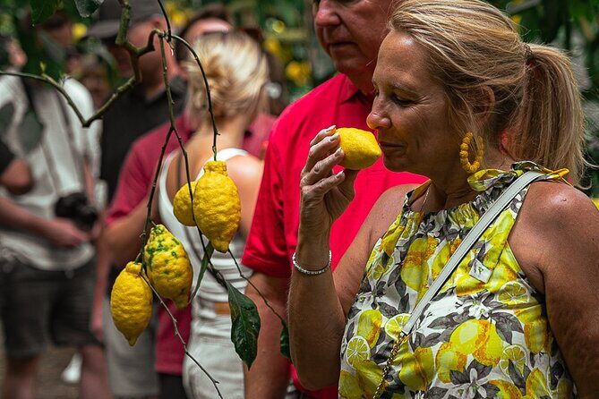 Sorrento Ape Tour, Lemon Garden, Mozzarella Show & Pizza Class - Practicalities and Value