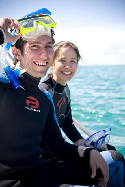 Sorrento: Boat Tour & Snorkeling with the Seals with Lunch - Post-Swim Relaxation and Lunch