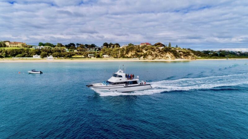 Sorrento: Dolphins & Seals Snorkeling Cruise w/ Lunch - FAQ
