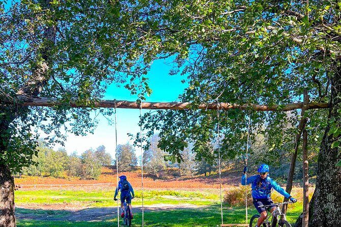 Sorrento e-bike adventure: olive oil and lemon tasting - Exploring the Sorrento E-bike Adventure: A Deep Dive