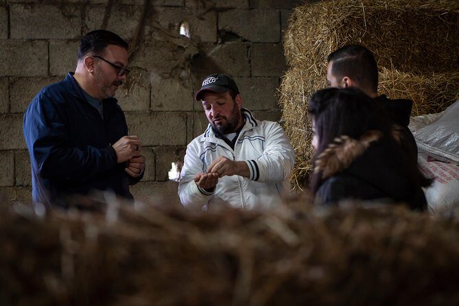 Sorrento Farm by Tuk Tuk: Cheese, Limoncello & Hands-On Pizza - The Best Fit for This Experience