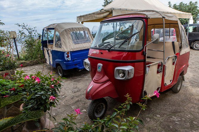 Sorrento Farm by Tuk Tuk: Cheese, Limoncello & Hands-On Pizza - FAQs
