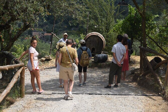 Sorrento Farm Experience: Wine Tasting, Pizza and Cheese Making - Practical Details That Matter