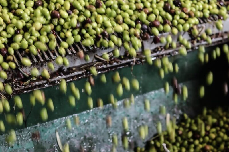 Sorrento: Guided Olive Mill Visit with Tastings - Who Will Love This Tour?