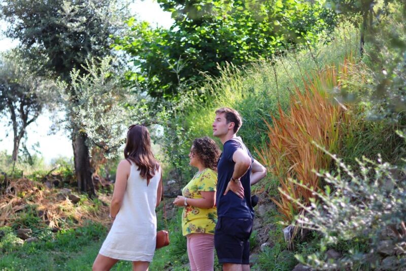Sorrento: Guided Olive Mill Visit with Tastings - The Sum Up — Why This Tour Offers Value and Authenticity