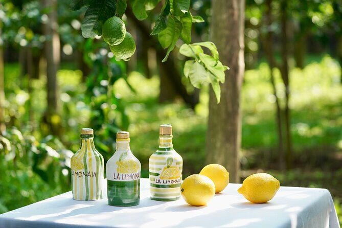 Sorrento Lemon Grove Experience with Local Product Tasting - Exploring the Sorrento Lemon Grove Experience in Detail