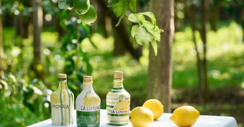 Sorrento Lemon Tour - An In-Depth Look at the Sorrento Lemon Tour