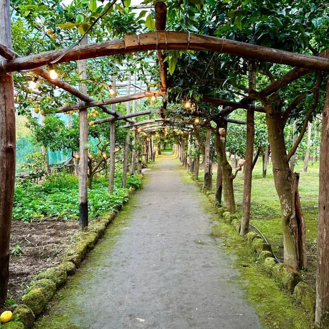 Sorrento Lemon Tour - Final Thoughts