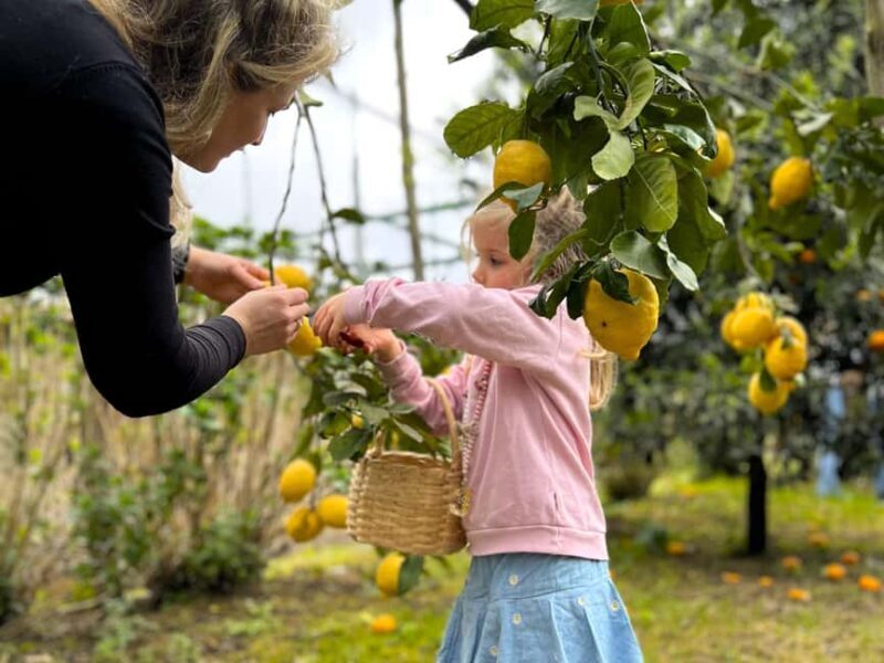 Sorrento: Lemon Tour with Limoncello Tasting - Who Will Love This Tour?