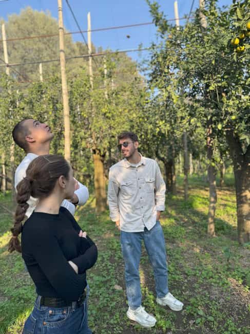 Sorrento: Lemon Tour with Limoncello Tasting - Final Words