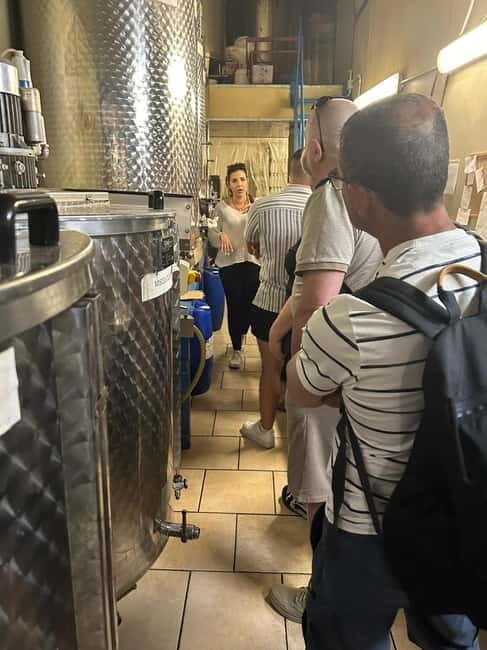 Sorrento: Limoncello Factory Tour and Tasting Experience - Practical Tips