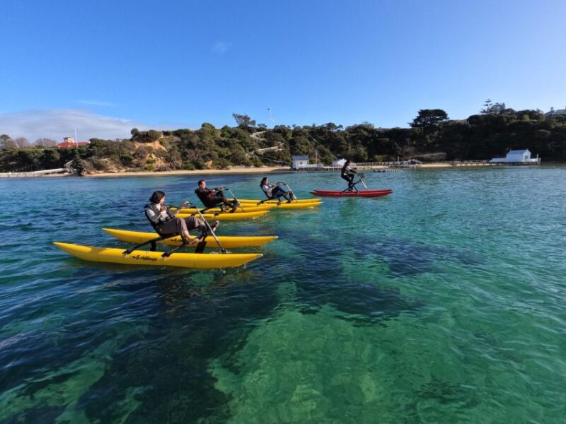 Sorrento, Mornington Peninsula Waterbike Tour - Starting Point and What to Expect
