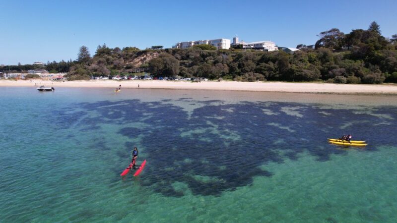 Sorrento, Mornington Peninsula Waterbike Tour - Exploring the Coastline and Historic Sights