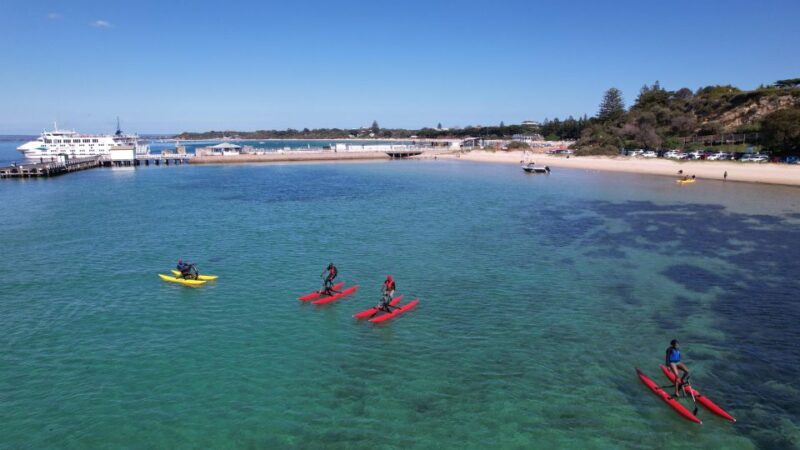 Sorrento, Mornington Peninsula Waterbike Tour - Returning and Final Moments