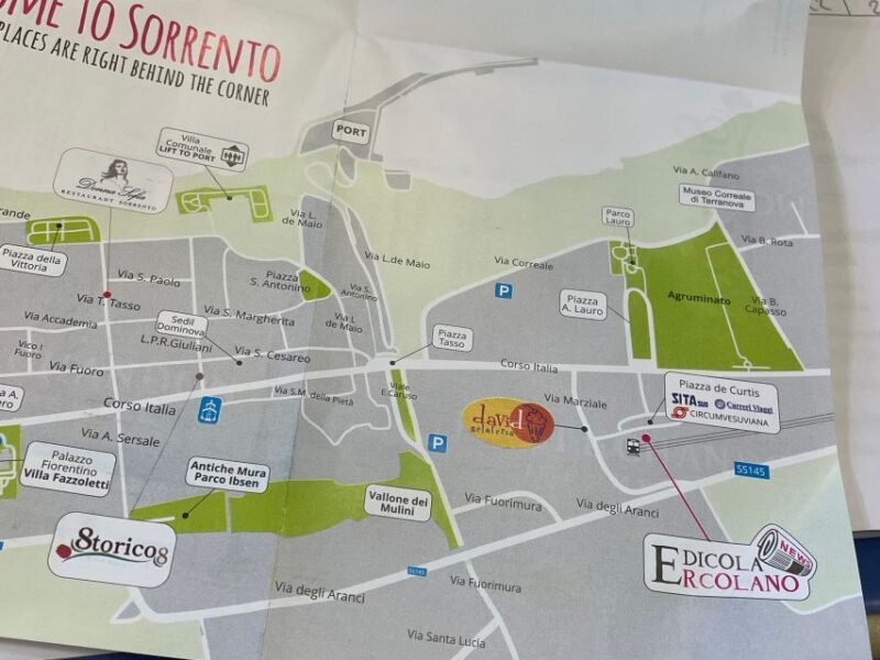Sorrento: Skip-the-Line Pompeii Express Tour by Train - An In-Depth Look at the Pompeii Express Tour