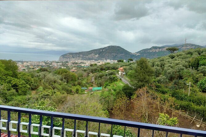 Sorrento Tour, Cooking Class, Typical Lunch & Extra Virgin Olive Oil - Who Should Consider This Tour?
