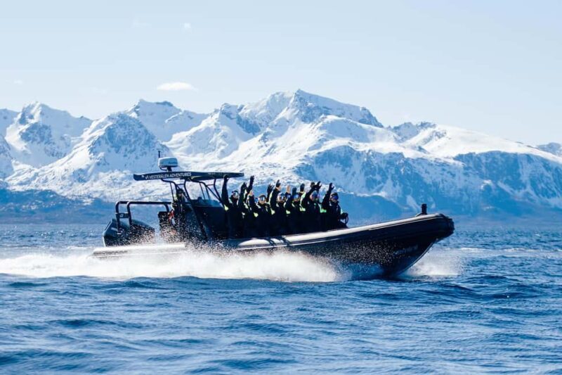 Sortland: Fjord and Sea Eagle Safari by RIB Boat - Exploring Norway’s Fjords and Sea Eagles: A Detailed Review