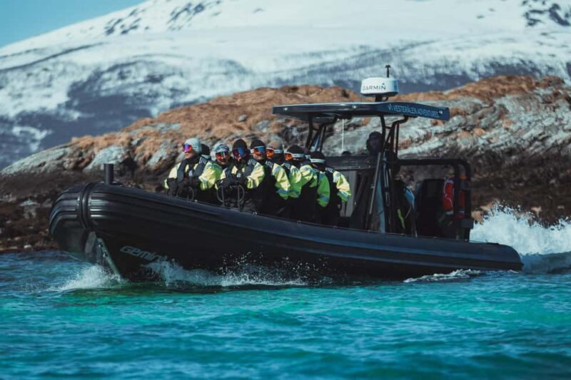 Sortland: Trollfjord RIB Boat Tour - FAQ