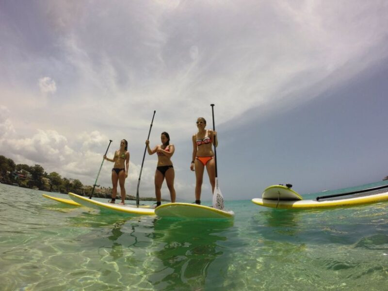 Sosua 2-Hour Stand Up Paddle Boarding - Starting Point and Location Details