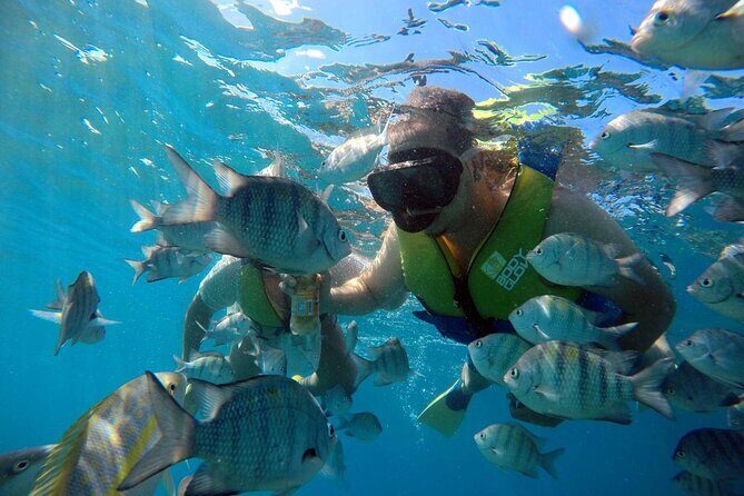 Sosua beach excursion with snorkeling included to Sosua Bay - A Complete Look at the Sosua Beach Snorkeling Tour