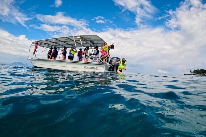 Sosua Snorkeling Adventure Tour with Guide and Gear Included - In-Depth Review of the Sosua Snorkeling Adventure