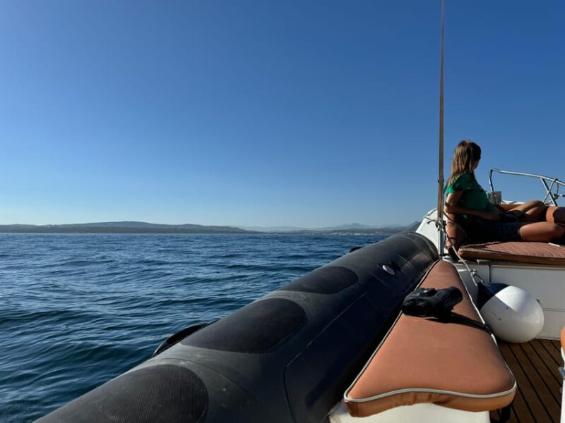 Sotogrande: Dolphin watching experience with expert crew - FAQs