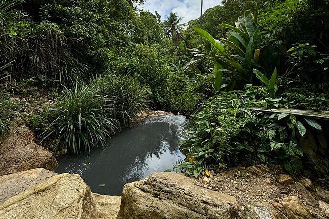 Soufriere Catamaran Excursion & Sapphire Falls Hike - Lunch at Morne Coubaril Estate