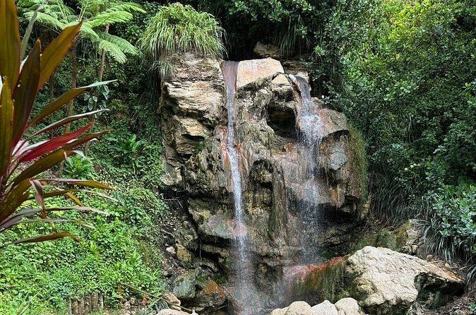 Soufriere Catamaran Excursion & Sapphire Falls Hike - Swimming, Snorkeling, and Relaxing