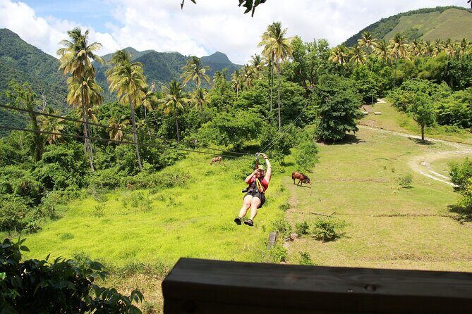 Soufriere Catamaran Excursion with Zip Lining from Castries - Who Will Love This Tour?