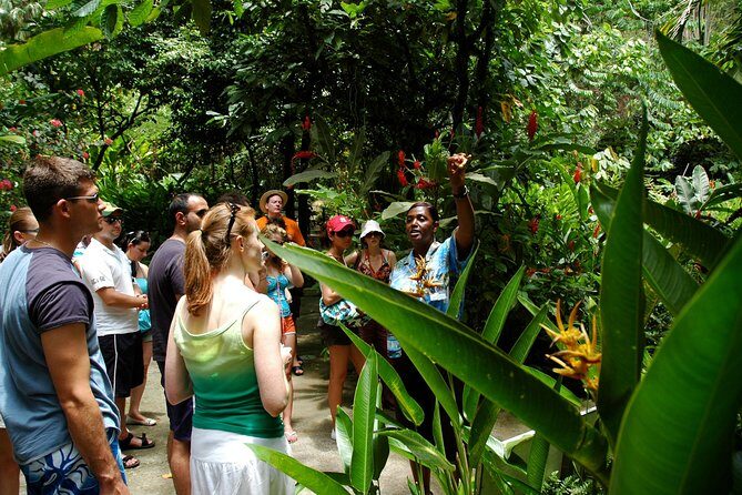 Soufriere Island Delight - The Experience: What Travelers Are Saying