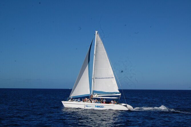 Soufriere to Rodney Bay Catamaran Transfer - Why This Tour Offers Great Value