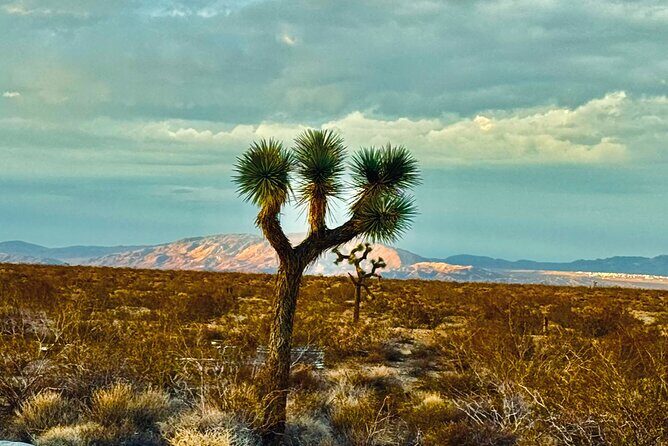 Soul Reconnection Retreat in Joshua Tree - Key Points