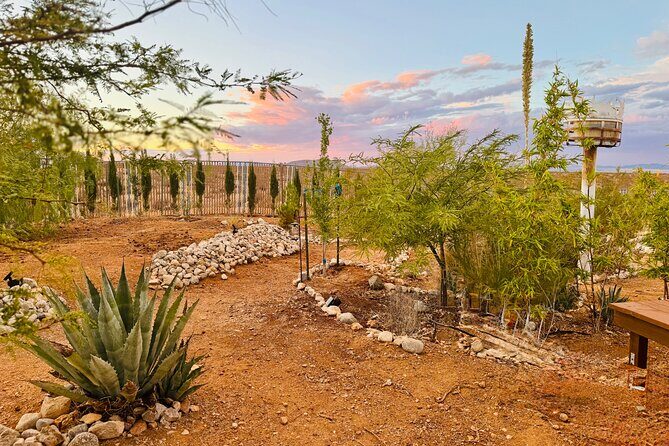 Soul Reconnection Retreat in Joshua Tree - Final Thoughts on Value and Experience