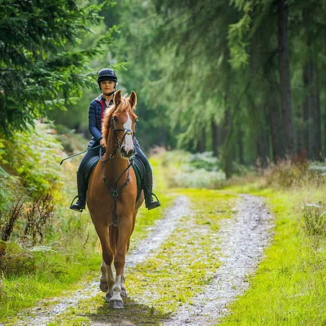 SoulRide: Horseback & Mindful Escape in Kissamos - SoulRide: Horseback & Mindful Escape in Kissamos