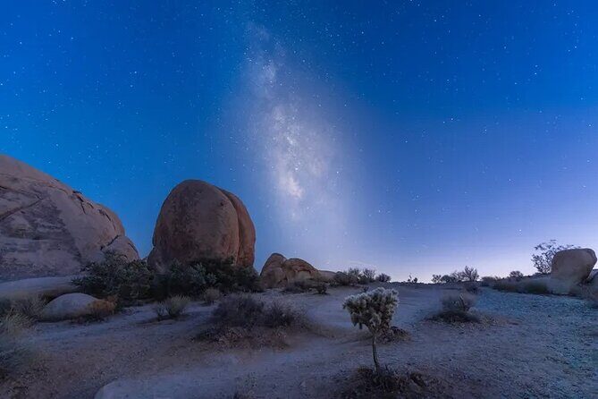 Soundbath Under The Stars-Joshua Tree - An In-Depth Look at the Soundbath Under The Stars Tour