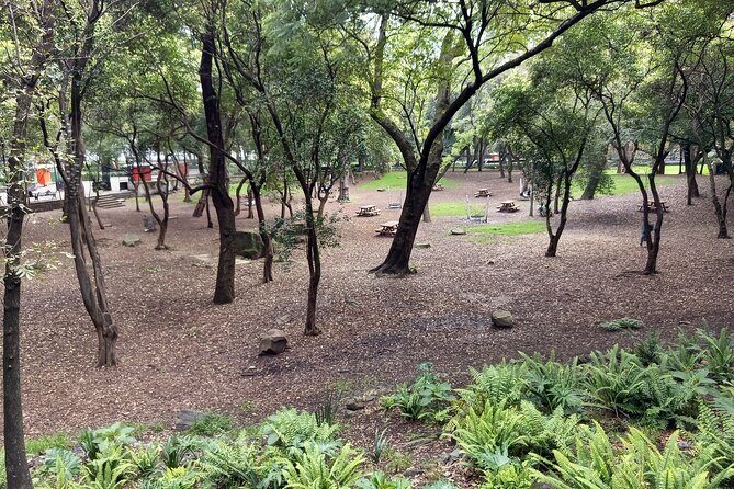 Sounds of Chapultepec Musical Journey through the History of Mexico - Final Thoughts