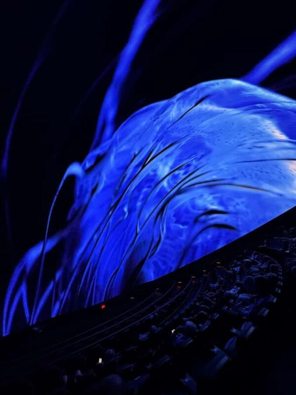 Sounds of the Ocean: The Immersive Experience - Tulsa - Who Will Love This Experience?