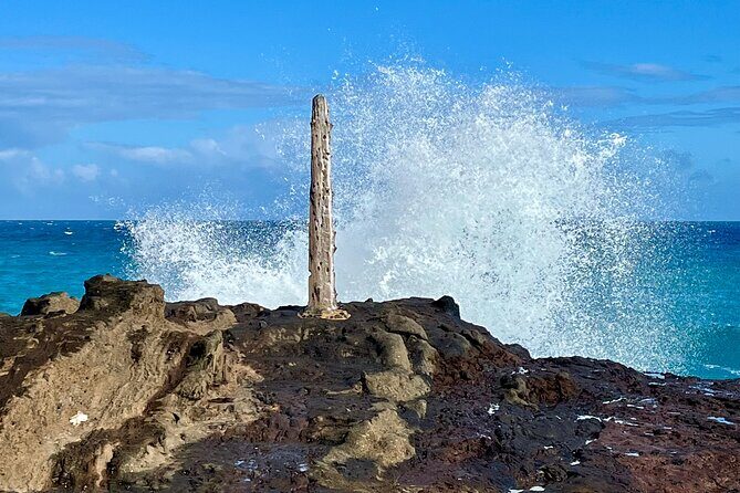 South and East Oahu Coastal Scenic Drive From Waikiki - FAQs